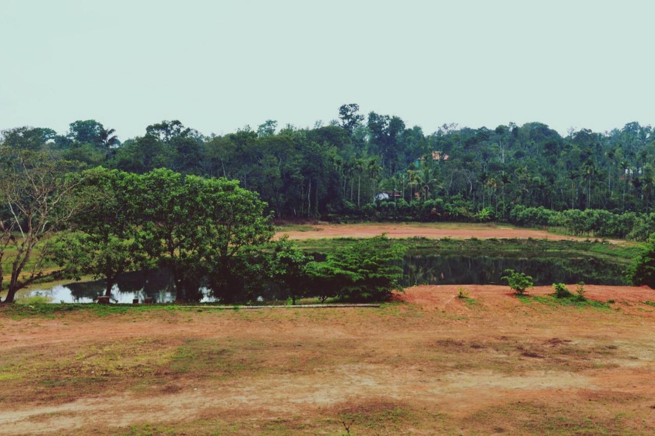 Agastya Lake View Coorg Madikeri Exteriör bild
