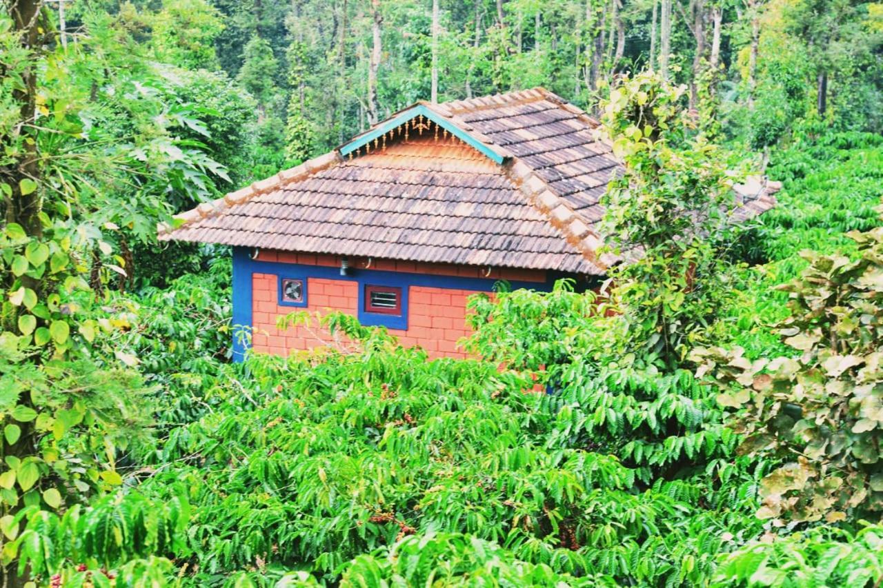 Agastya Lake View Coorg Madikeri Exteriör bild
