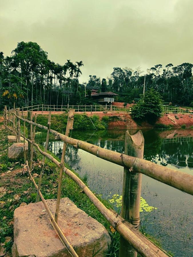 Agastya Lake View Coorg Madikeri Exteriör bild