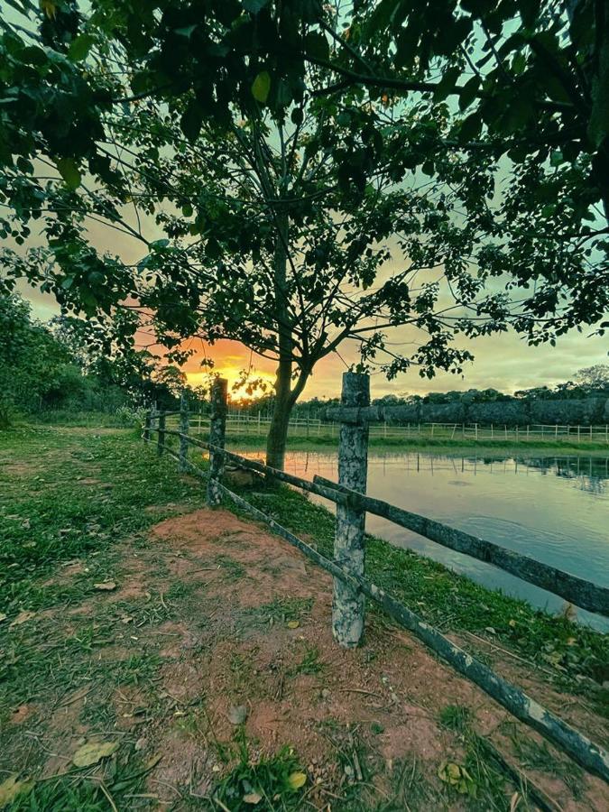 Agastya Lake View Coorg Madikeri Exteriör bild