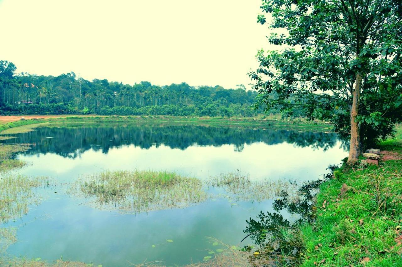 Agastya Lake View Coorg Madikeri Exteriör bild